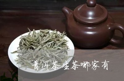 普洱茶生茶哪家有/2023041134828