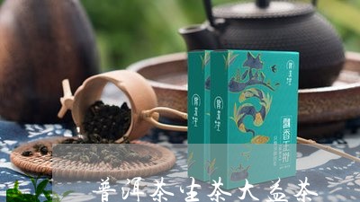 普洱茶生茶大益茶/2023041169582