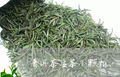 普洱茶生茶小颗粒/2023031606958