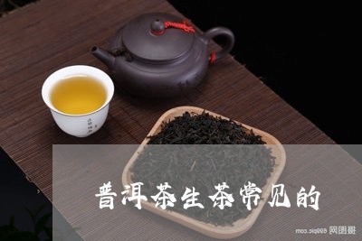 普洱茶生茶常见的/2023031639684