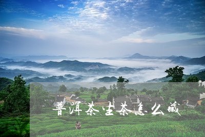 普洱茶生茶怎么藏/2023041183948