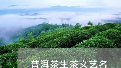 普洱茶生茶文艺名/2023041148494