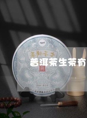 普洱茶生茶有茶花/2023031602715