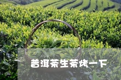 普洱茶生茶烤一下/2023040119483