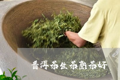 普洱茶生茶熟茶好/2023041183718