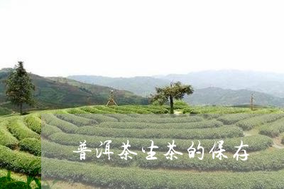 普洱茶生茶的保存/2023041221724