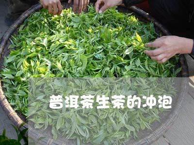 普洱茶生茶的冲泡/2023031649270