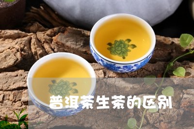 普洱茶生茶的区别/2023031728271