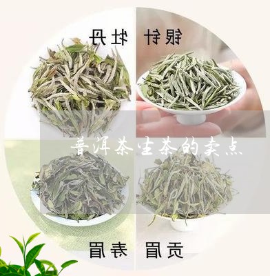 普洱茶生茶的卖点/2023041169673