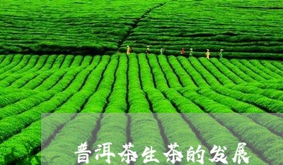 普洱茶生茶的发展/2023041185016