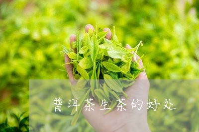 普洱茶生茶的好处/2023041386272