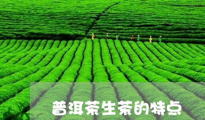 普洱茶生茶的特点/2023041360616