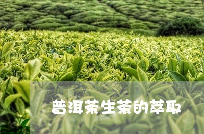 普洱茶生茶的萃取/2023041138614