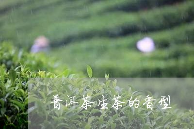 普洱茶生茶的香型/2023041196381