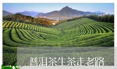 普洱茶生茶走老路/2023041141937