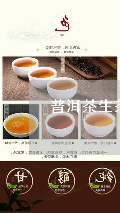 普洱茶生茶跟熟茶/2023041354168