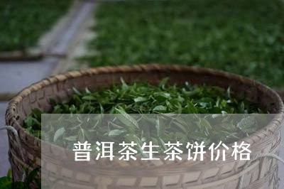 普洱茶生茶饼价格/2023041343749