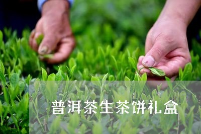 普洱茶生茶饼礼盒/2023031681537