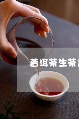 普洱茶生茶香气有/2023041120850