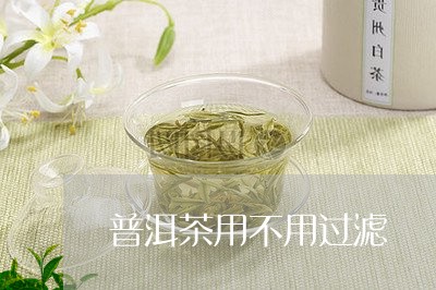 普洱茶用不用过滤/2023033109569