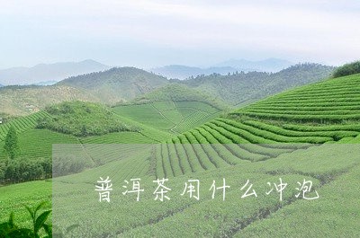 普洱茶用什么冲泡/2023031899394