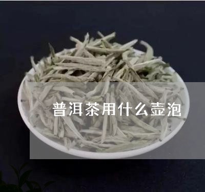 普洱茶用什么壶泡/2023031886048