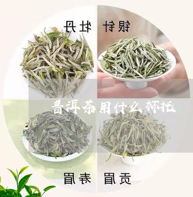 普洱茶用什么杯托/2023040103624