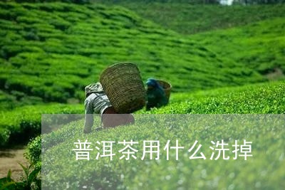 普洱茶用什么洗掉/2023040935926