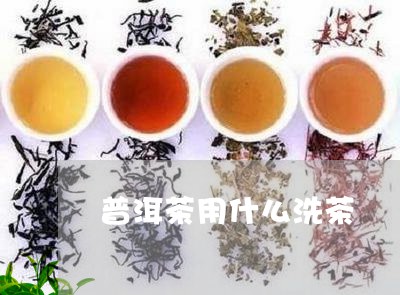 普洱茶用什么洗茶/2023031605847