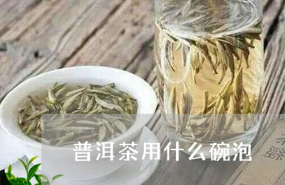 普洱茶用什么碗泡/2023040147373