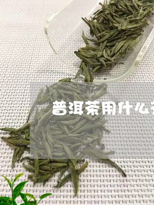 普洱茶用什么茶叶/2023040941685