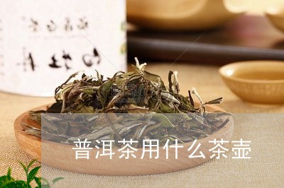 普洱茶用什么茶壶/2023031748079