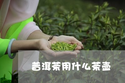 普洱茶用什么茶壶/2023041374047