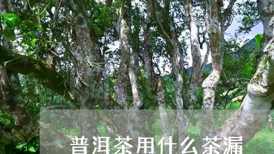 普洱茶用什么茶漏/2023031672604