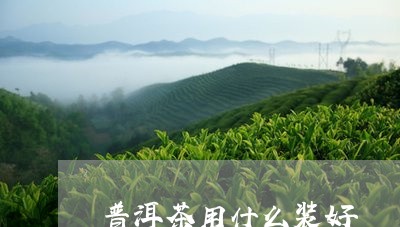 普洱茶用什么装好/2023031716136