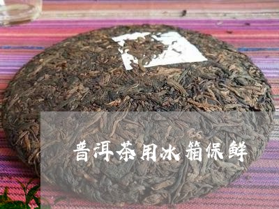 普洱茶用冰箱保鲜/2023041124159