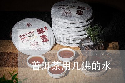 普洱茶用几沸的水/2023033146159