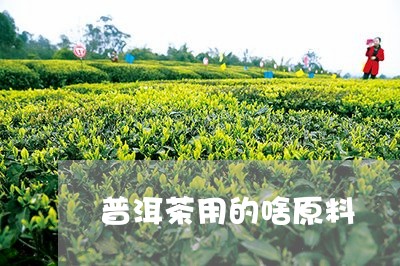 普洱茶用的啥原料/2023040110381