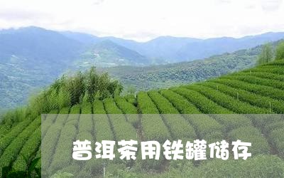 普洱茶用铁罐储存/2023031773506