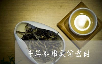 普洱茶用风筒密封/2023040104848