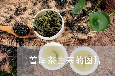 普洱茶由来的图片/2023041094915