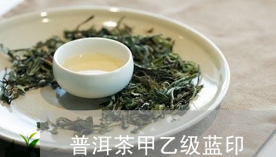 普洱茶甲乙级蓝印/2023041066159