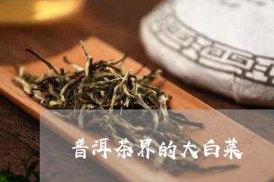 普洱茶界的大白菜/2023041106259