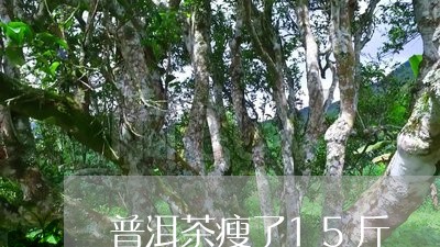 普洱茶瘦了15斤/2023031769792