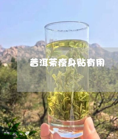 普洱茶瘦身贴有用/2023040972616