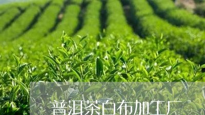 普洱茶白布加工厂/2023041211826