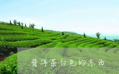 普洱茶白色的东西/2023041025160