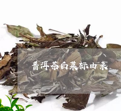 普洱茶白菜标由来/2023041090584