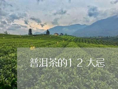 普洱茶的12大忌/2023033111628