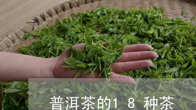 普洱茶的18种茶/2023041128363